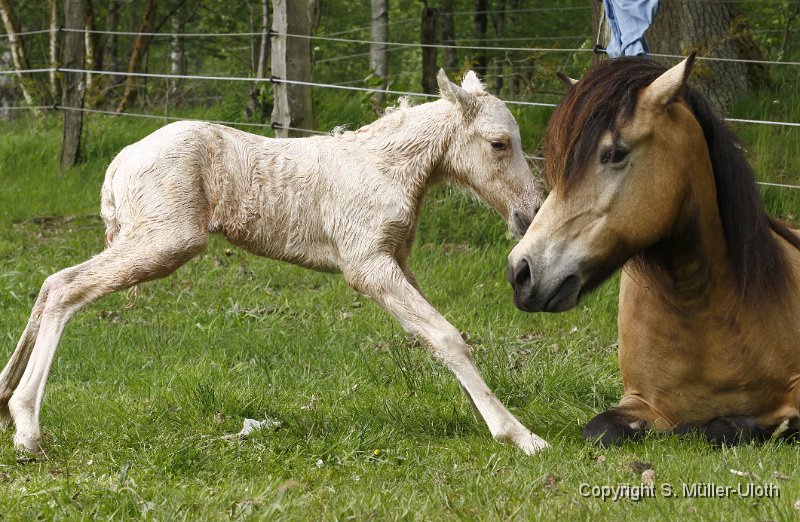 Hjoerdis 22 Min alt (17).JPG